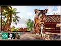 🐫 Clouded Leopard | Desert Franchise Mode | Planet Zoo |