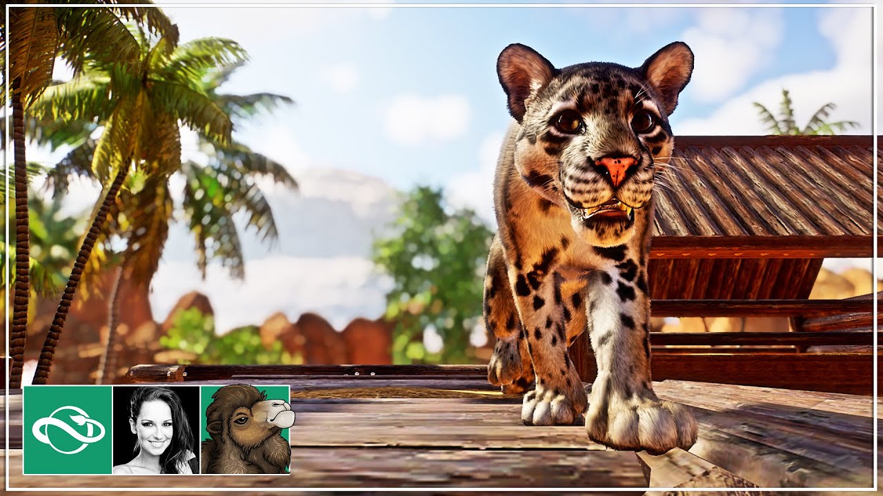 🐫 Clouded Leopard | Desert Franchise Mode | Planet Zoo | - YouTube