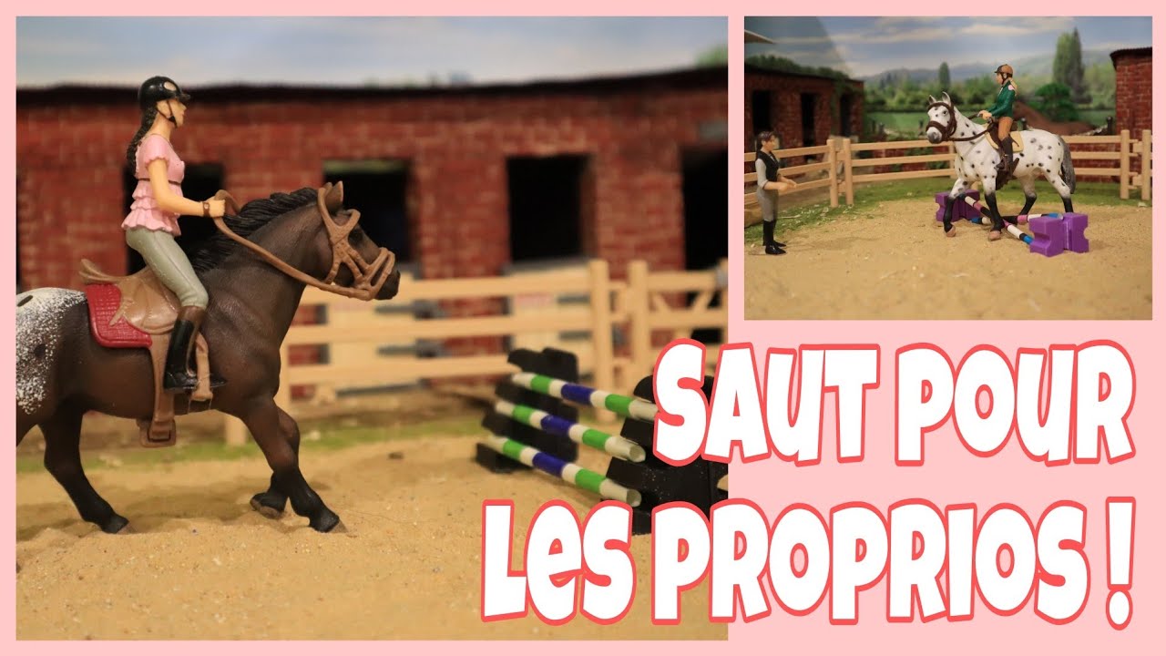 [Cours Scheich] Du Saut pour les propriétaire ! Bientôt le concours