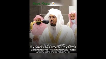 فَاذْكُرُونِي أَذْكُرْكُم واشْكُرُوا لِي وَلا تَكْفُرُون~تلاوة جميلة هادئة للغريد ياسر الدوسري، 😍🌾