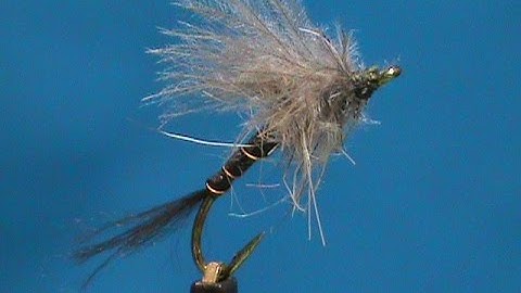 Beginner Fly Tying a Hare