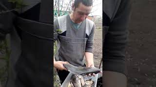 Результат рыбалки на Дубасах Здвинск