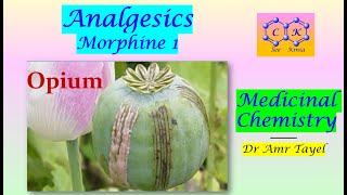 Narcotic Analgesics (part 1) Morphine - Medicinal Chemistry - E - PDF 👇