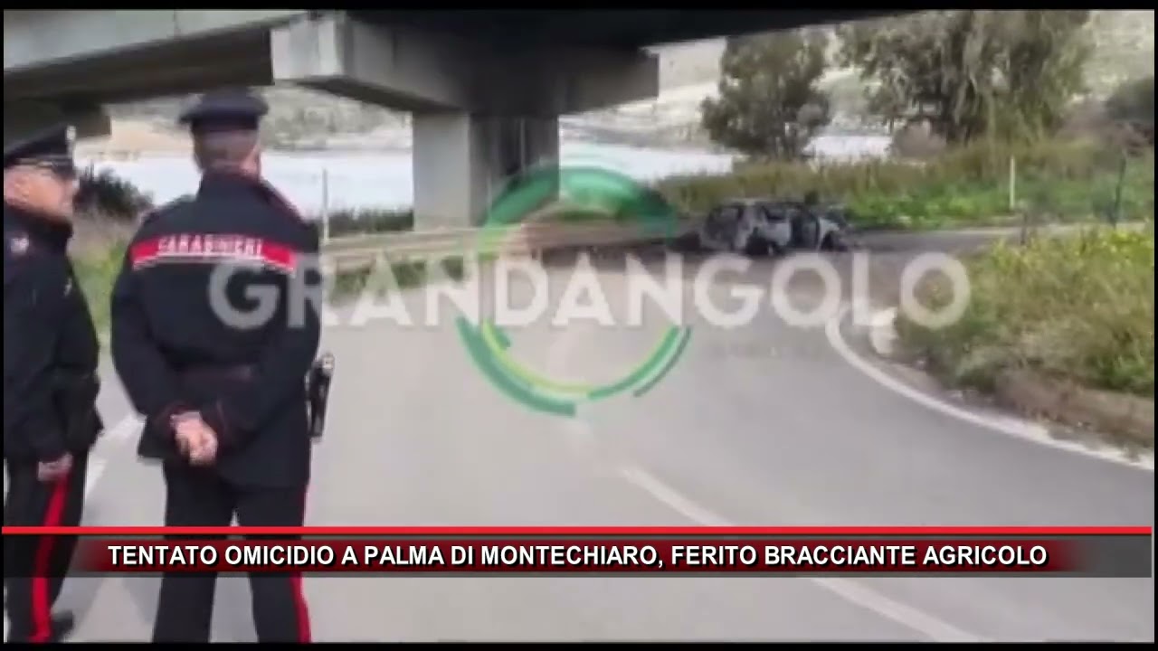 TENTATO OMICIDIO A PALMA DI MONTECHIARO, FERITO BRACCIANTE AGRICOLO