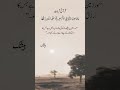 رزق دینے والا صرف اللہ ہے ❤️ فکر چھوڑیں، دعا اور یقین کو مضبوط کریں Quran#Islam #Allah #Rizq