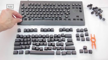 Wooting one (empty) Prototype Assembled