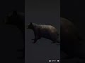 Black  Bear tried to escape !Call Of The Wild
