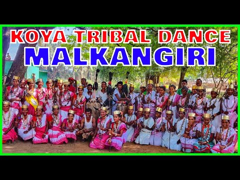 KOYA DANCE   Tribal Culture in Malkangiri Odisha