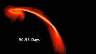 A Star Meets A Black Hole