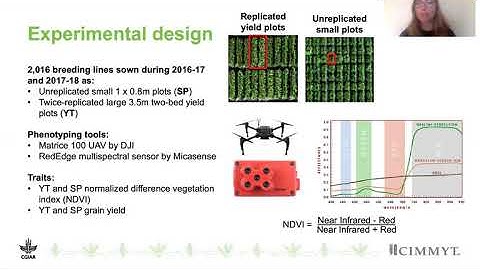 Margaret Krause - High-Throughput Phenotyping for Indirect Selection on Wheat Grain Yield