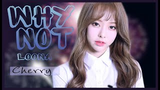 Why Not? - LOONA ;; cover español 【ᴄʜᴇʀʀʏ ᴇɴᴛᴇʀᴛᴀɪᴍᴇɴᴛ】