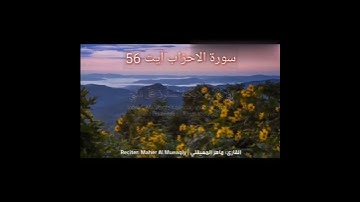 سورة الأحزاب: الآية 56 - تلاوة خاشعة القرآن كريم