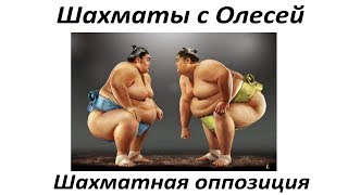 Шахматный эндшпиль. Шахматная оппозиция и ключевое поле. Урок 03 (часть 3). Шахматный эндшпиль. Шахматная оппозиция и ключевое поле. Урок 03 (часть 3).