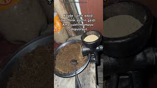 Haşgeş Çekmek Öneçıkart