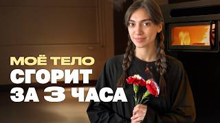картинка: Внутри крематория: теплый прием, дружный коллектив