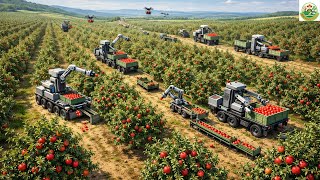 Tận Mắt Chứng Kiến Máy Móc Mỹ Thu Hoạch Nông Sản Nhanh Gấp 10 Lần Con Người