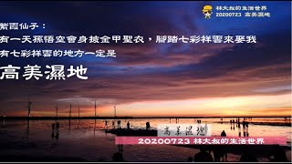 林大叔的生活世界29   20200723高美濕地(海景系列1)