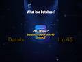 Databases Explained Simply: How Apps Store & Manage Data