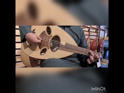 عود الجزيرة مبطط نسائي 528