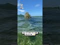 Close call with a crocodile 🫣🐊                               🎥: Instagram / therealtarzann