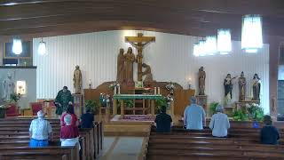 St. John Paul II Live Mass