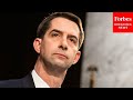 Tom Cotton grills DNI on "migration crisis" on southern border