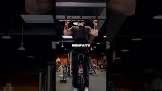 Pourquoi Je Mange 1 Repas Par Jour