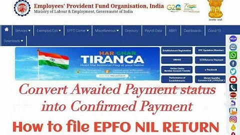 How to File EPFO Nil Return.. #epfo #epf
