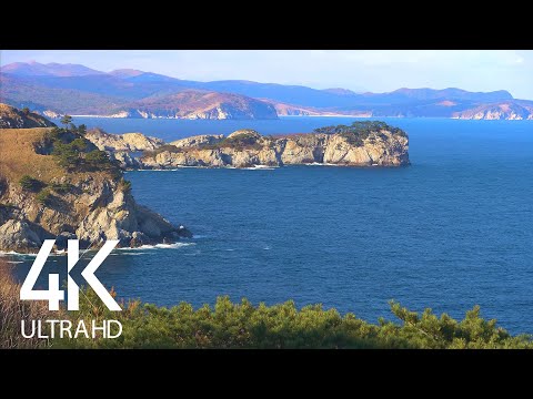 Video: Gamow Peninsula, Primorsky Krai: photo, how to get there?