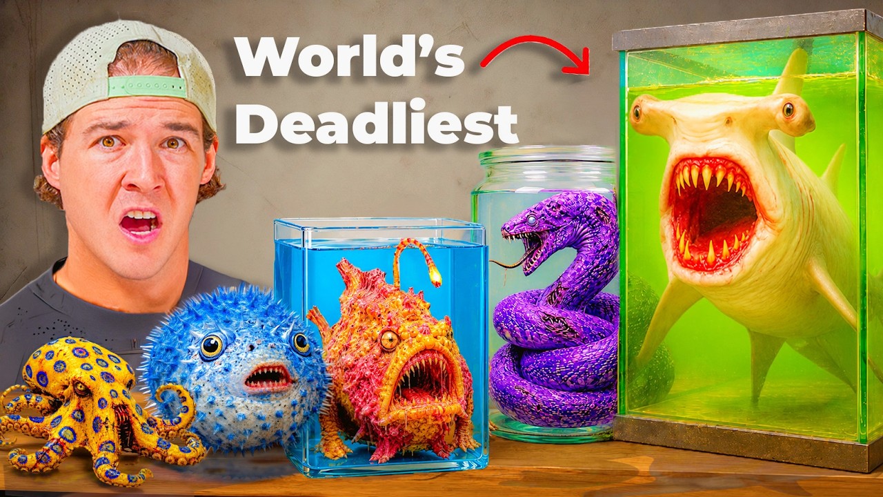 I Bought Dangerous Fish Nobody Would Ever Buy…