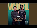 Wonderful (feat. Ks Bloom)