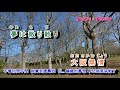 大阪無情 字義版