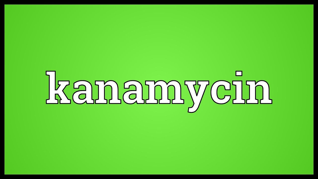 Kanamycin Meaning