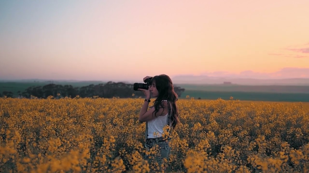 Guarda Atti Master & PUNK JUNGLE x Guava - Spring Rays Of My Life (Atti Master & PUNK JUNGLE Mashup) FREE su YouTube Guarda Atti Master & PUNK JUNGLE x Guava - Spring Rays Of My Life (Atti Master & PUNK JUNGLE Mashup) FREE su YouTube