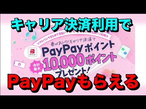 キャリア決済利用でPayPayポイントがガッツりもらえる【ソフトバンク・ワイモバイル・LINEMO】