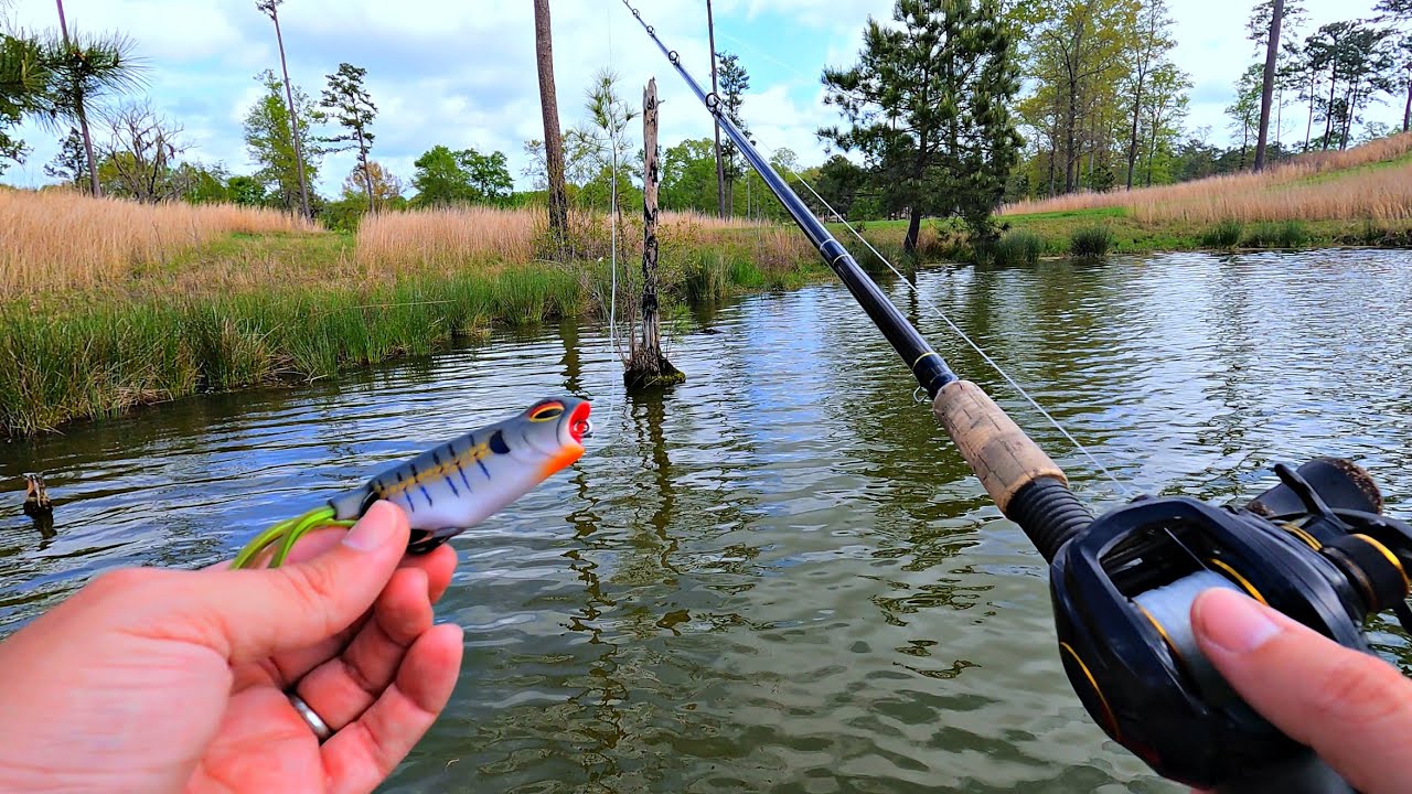 6th Sense Vega Frog | 7cm Baby Blue Gill