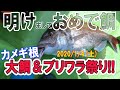 【葉山沖】大鯛＆ブリワラ祭り!! (2020/1/4) 葉山芝崎五エム丸