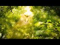 Calm Your Mind with Romantic Music Meditation Relaxing and Sleep Music