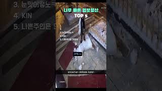 너무 빠른 업보청산