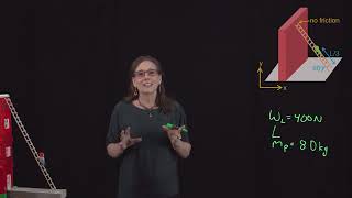 Static Equilibrium Problem Net Worth