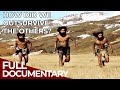 Lost humans  how the modern humans came to be  free documentary history