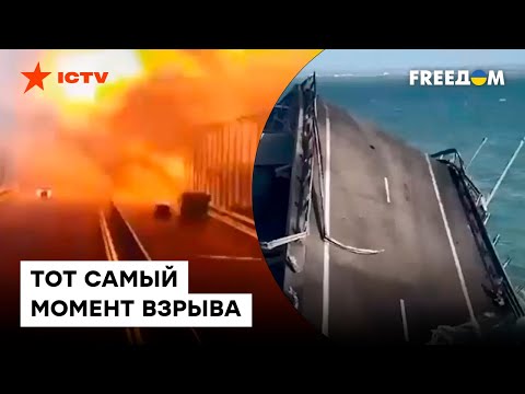 Видео: Кримски бор: цена, снимка, описание