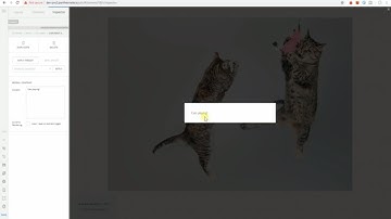 Popup a Modal From an Image in Cornerstone (Pro Header, Content and Footer Builder)