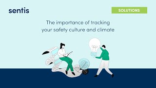 Our Safety Culture & Climate Assessments
