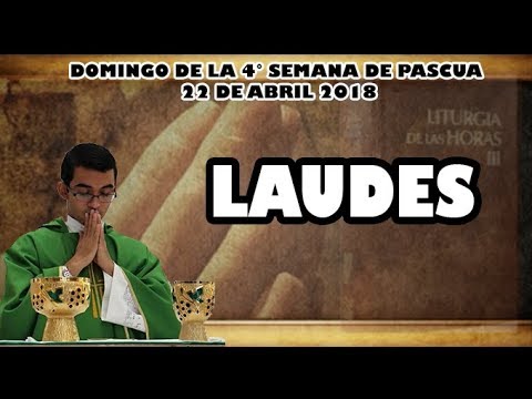 liturgia de las horas online Oración de la mañana (Laudes), DOMINGO 22 DE ABRIL 2018 | Padre Sam