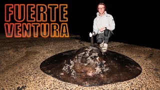 Catch Monster Fish From the Shore in the Canary Islands | Giant 268lbs Round Fantail Stingray