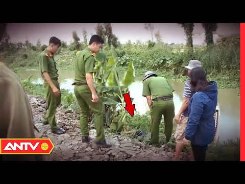 Những Vụ Án Bí Ẩn Được Phá - Vụ án mạng dưới chân đê Trường Sinh: Bí ẩn rợn người giữa ruộng cỏ voi | Hành trình phá án | ANTV