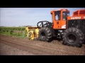 SEPPI Starsoil hyd with Barko 937