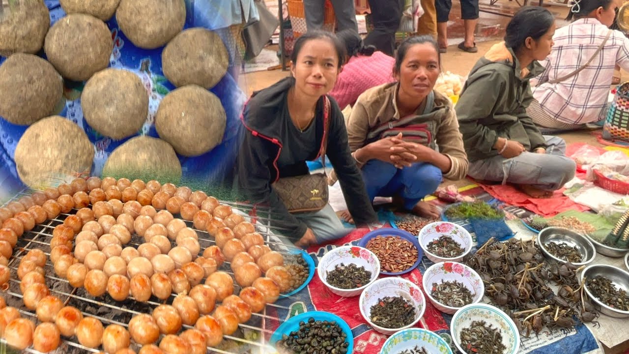 ลูกเบ้า แมงระงำ สุดยอดของกิน!! #ตลาดนัดไทย-ลาว จ.นครพนม 