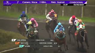 Vidéo de la course PMU INDIA DIOSA